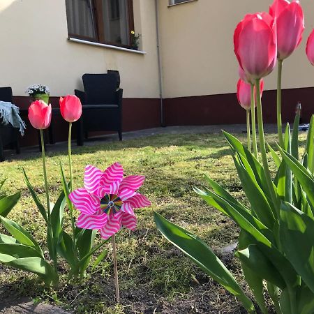 Casa Marherita Appartman Hajdúszoboszló Exteriör bild