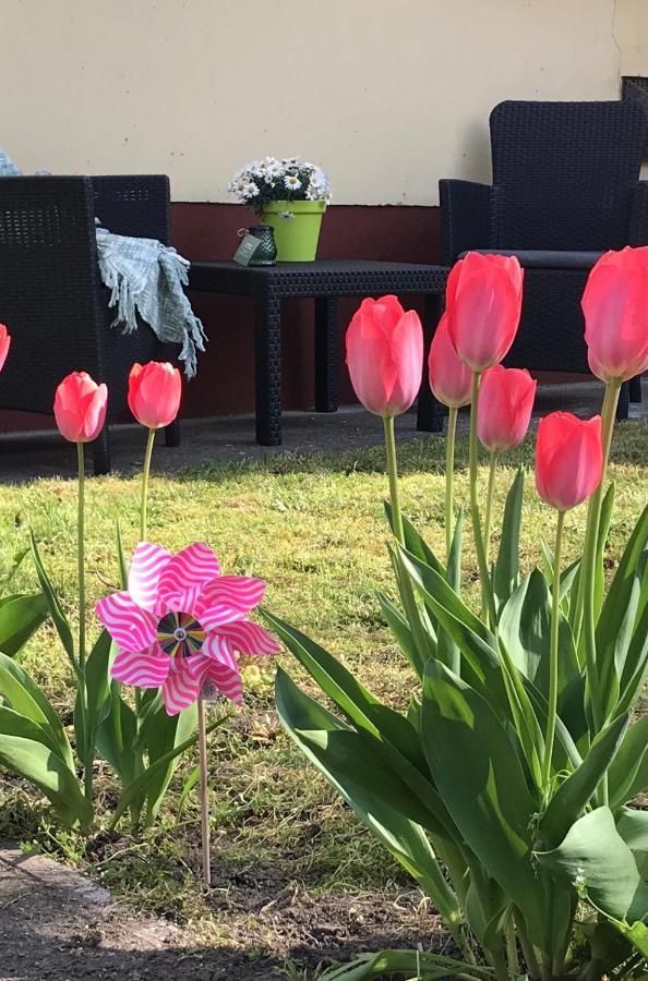 Casa Marherita Appartman Hajdúszoboszló Exteriör bild