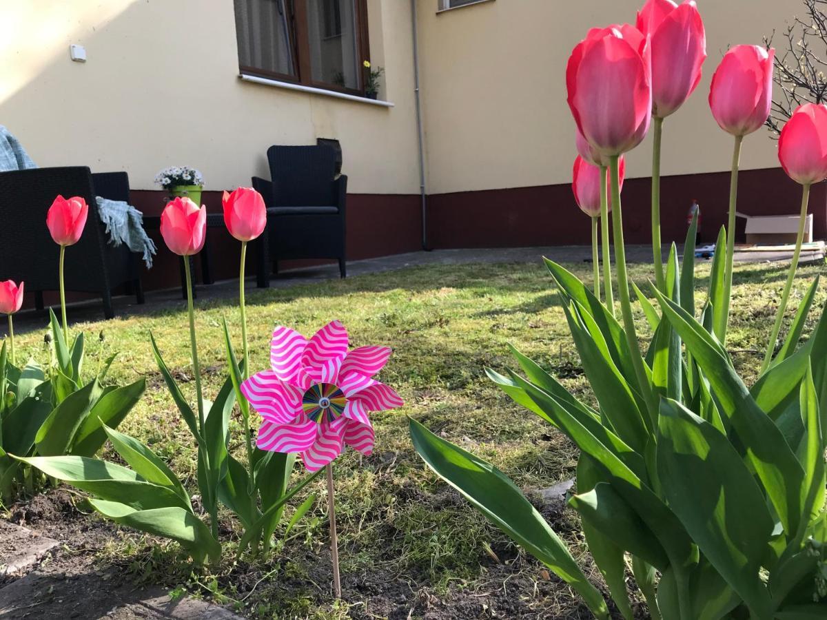 Casa Marherita Appartman Hajdúszoboszló Exteriör bild